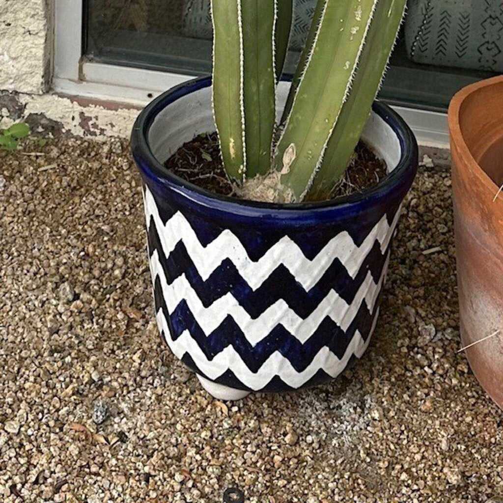 3 Cacti In Blue & White Chevron Pot- 65"