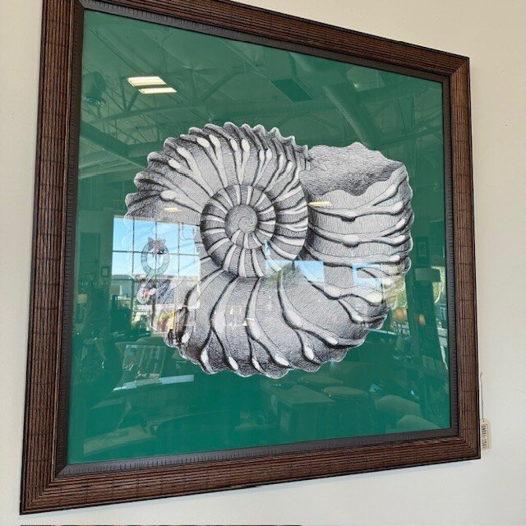 Custom Framed Green Shell Art- 47X47