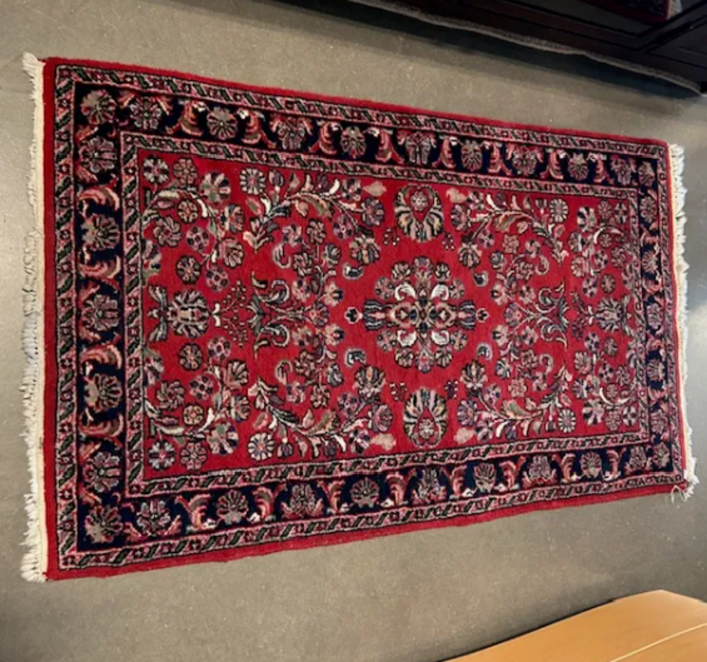 Hand Knotted Wool Rug- 5'2"X3'