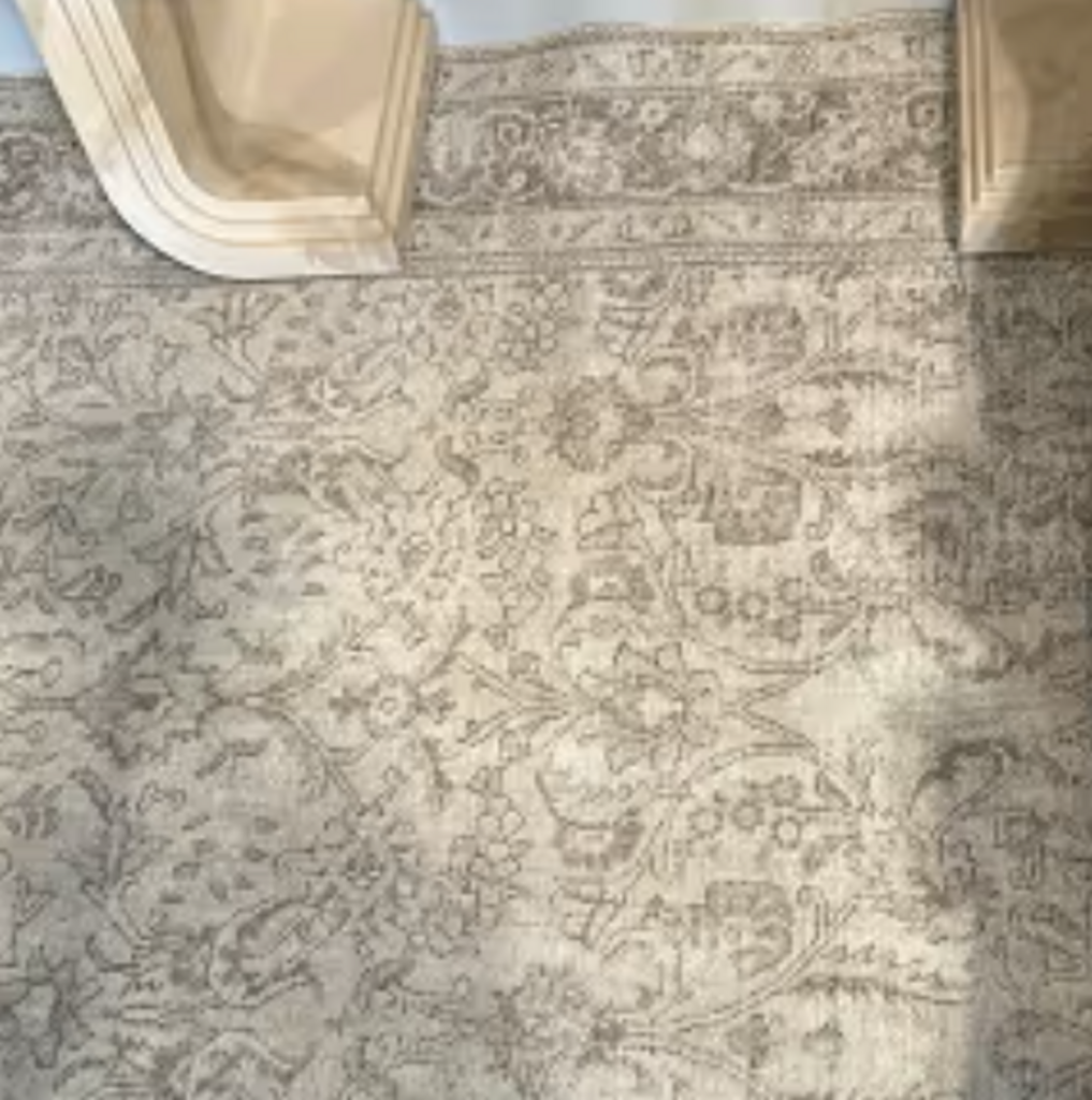 Wool Hand Knotted Shaved & Bleached Rug - 9X6'4