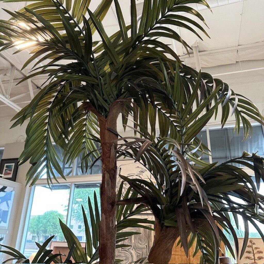 Large Palm In Ceramic Pot