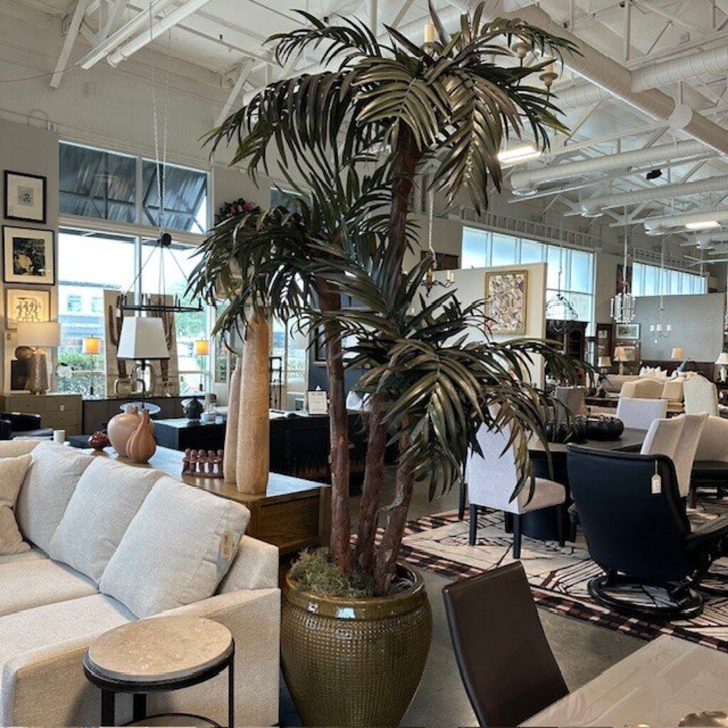 Large Palm In Ceramic Pot
