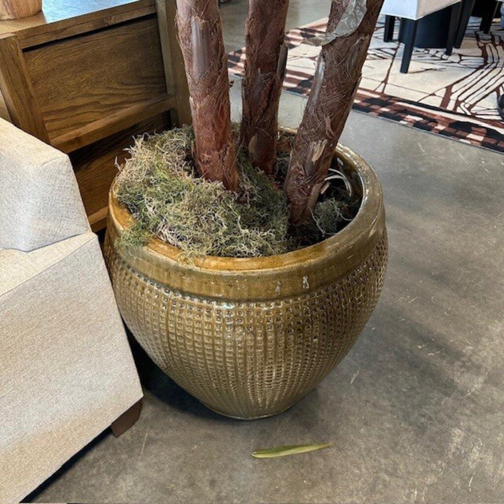 Large Palm In Ceramic Pot