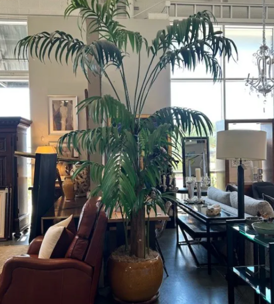 Silk Palm Tree W/ Real Bark In Gold Pot- 10'H
