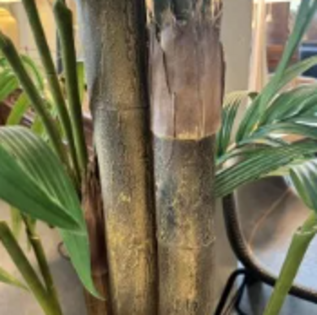 Silk Palm Tree W/ Real Bark In Gold Pot- 10'H