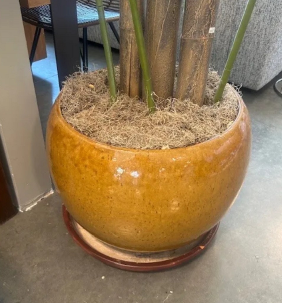 Silk Palm Tree W/ Real Bark In Gold Pot- 10'H