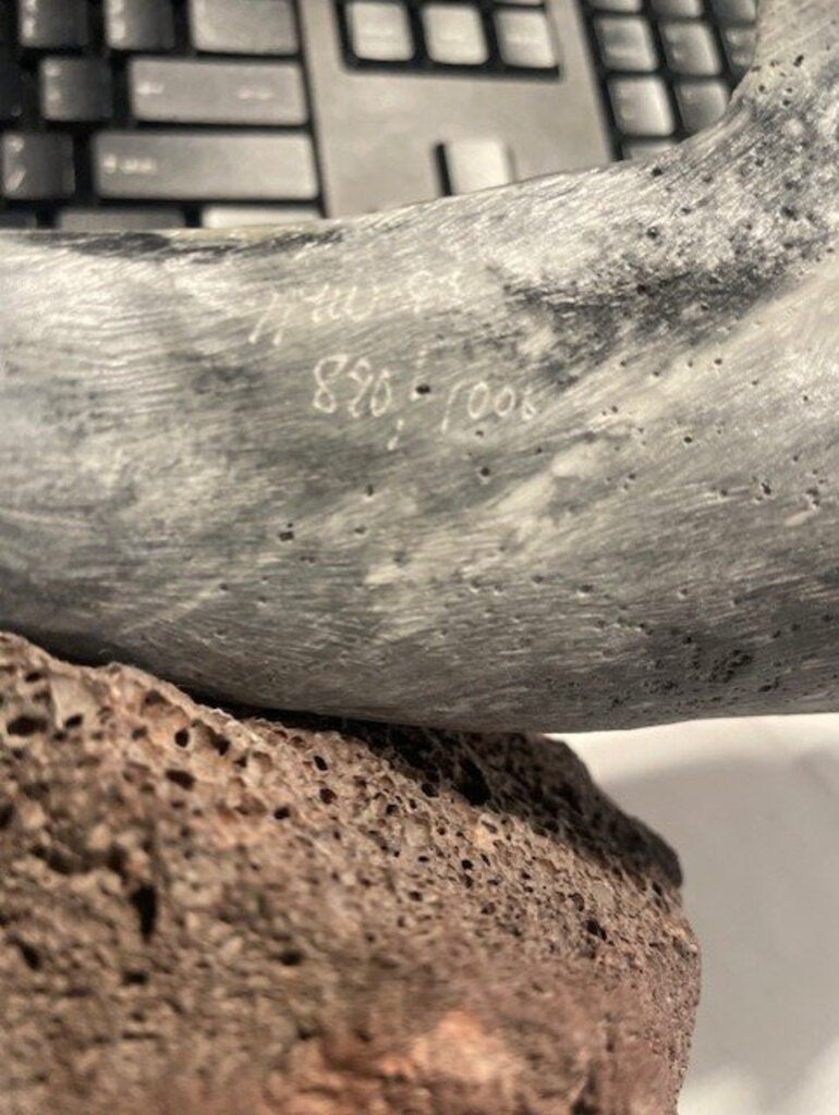 Dolphin on Lava Rock Signe by NW- '93 (890/1006)