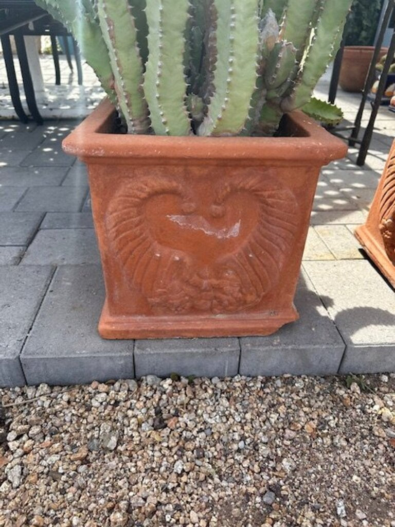Square Terra Cotta Pot W/ Morrocan Mount Cactus- 28H