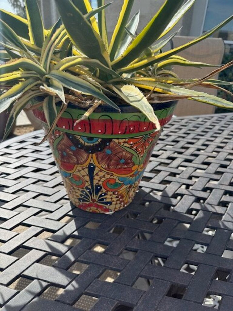 Mexican Talavera Ceramic Pot W/ Century Plant - 26H