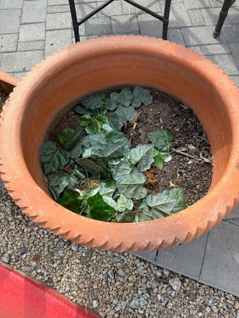 Vintage Grande Terra Cotta Molcajete Footed Planter