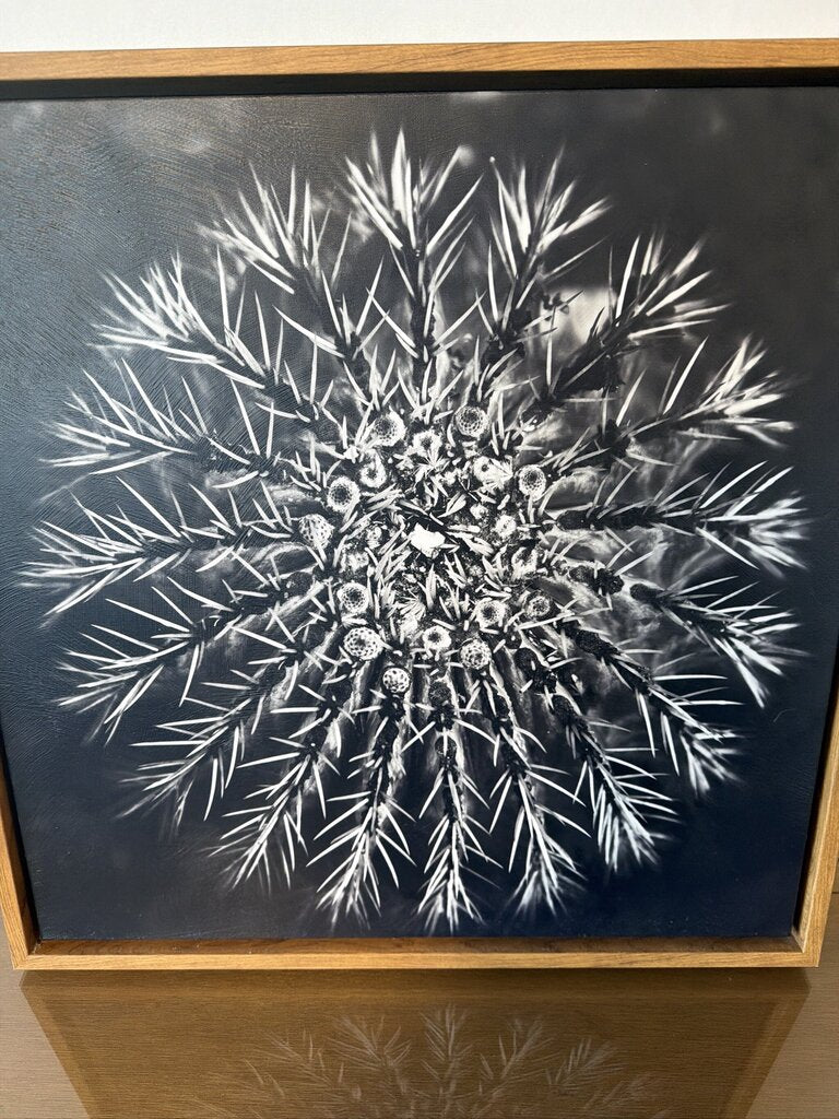 Succulent III by Barclay Butera- 24X3X24