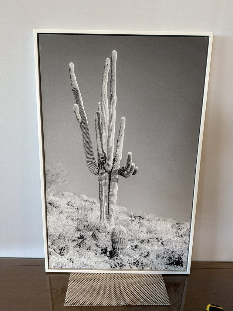West Elm "Towering Cactus 2"-23X36