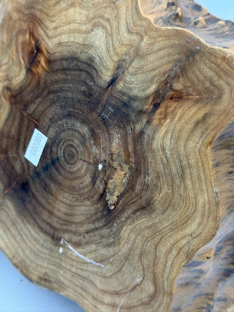 Burl Wood Root Basket W/ Handle- 10X9X9H