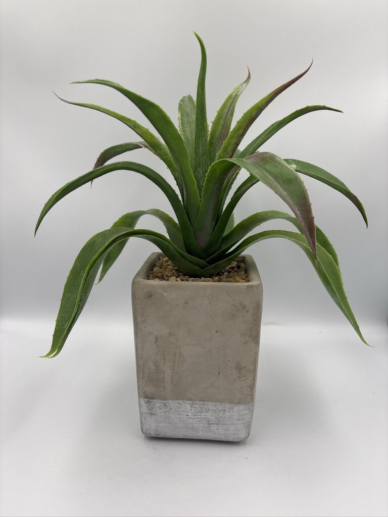 Artificial Agave Plant in Cement Planter- 10X10X13