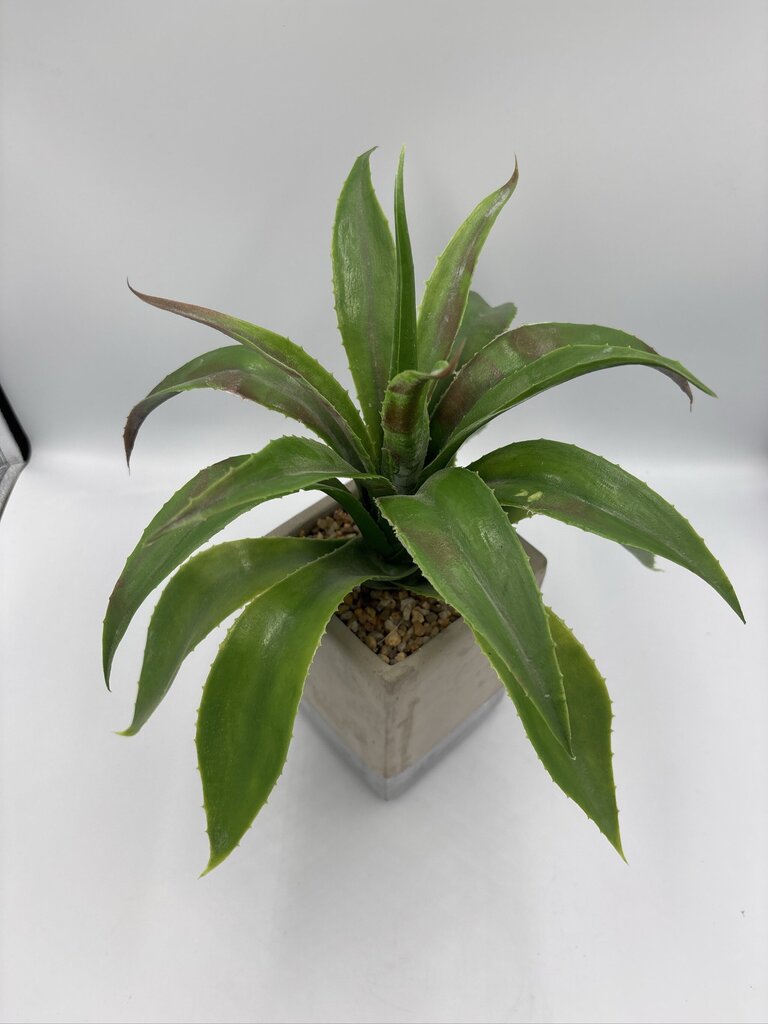 Artificial Agave Plant in Cement Planter- 10X10X13