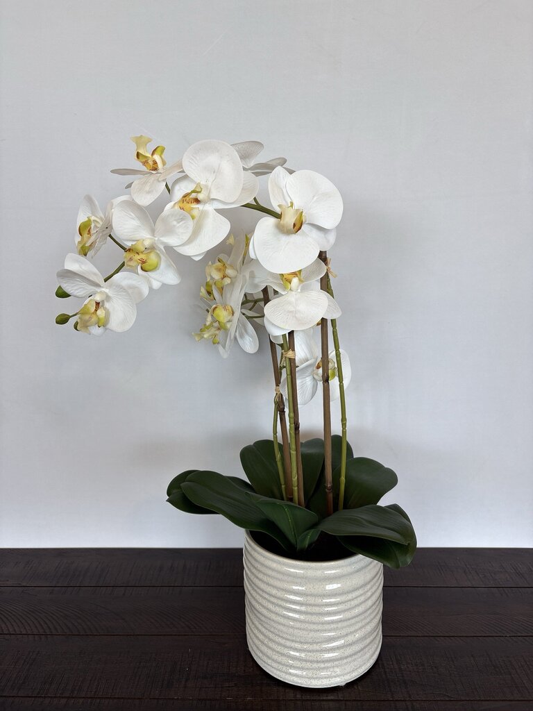 Faux 3 Stem Orchid In White Ceramic Pot- 7X24H