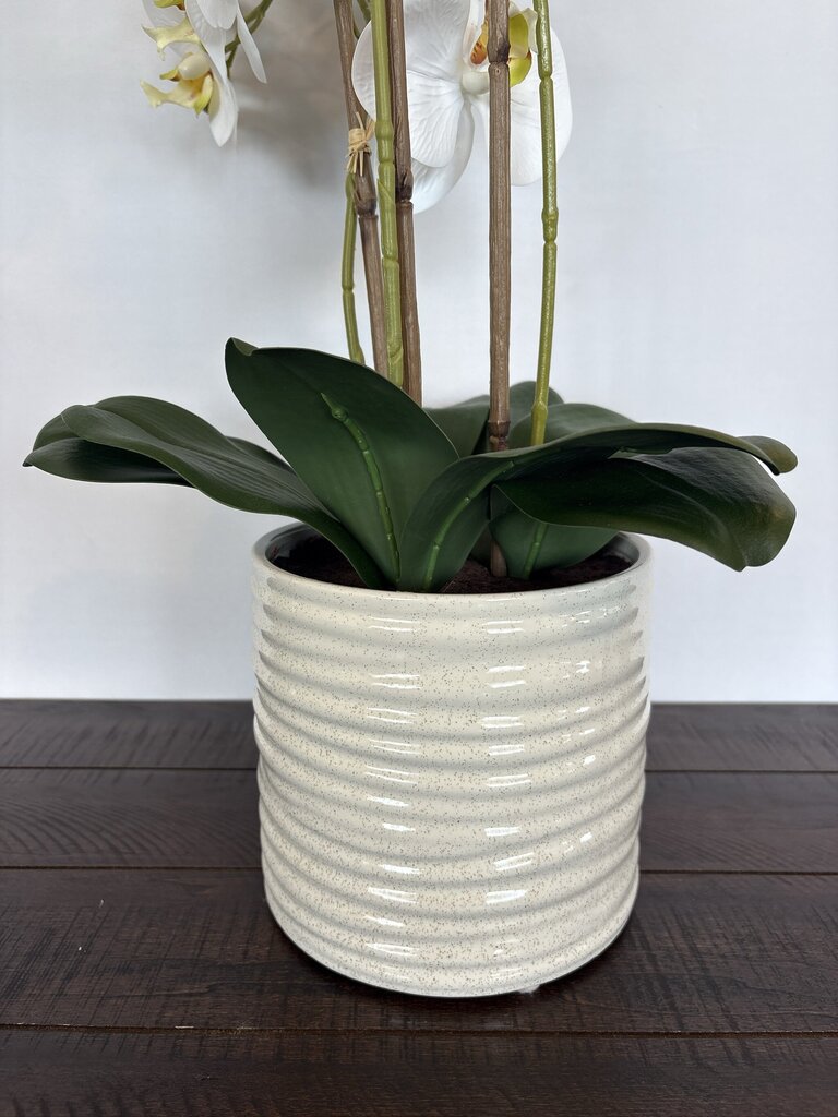 Faux 3 Stem Orchid In White Ceramic Pot- 7X24H