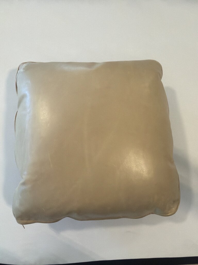 Leather Embossed Reversible Pillow- 17X17