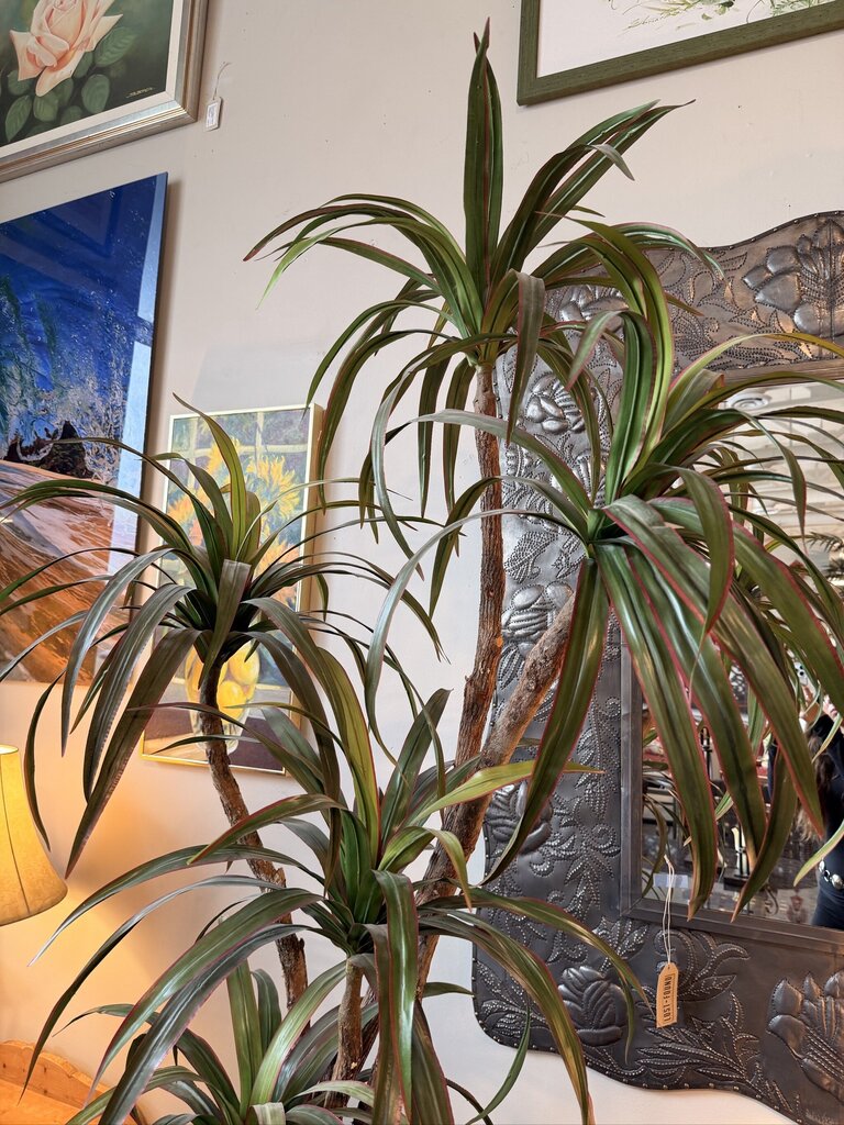 Artificial Dracaena Plant In Lg Brown Pot-26X26X90 - AS IS