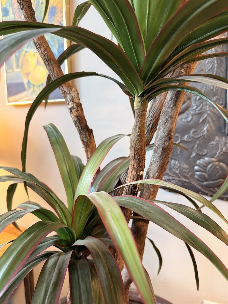 Artificial Dracaena Plant In Lg Brown Pot-26X26X90 - AS IS