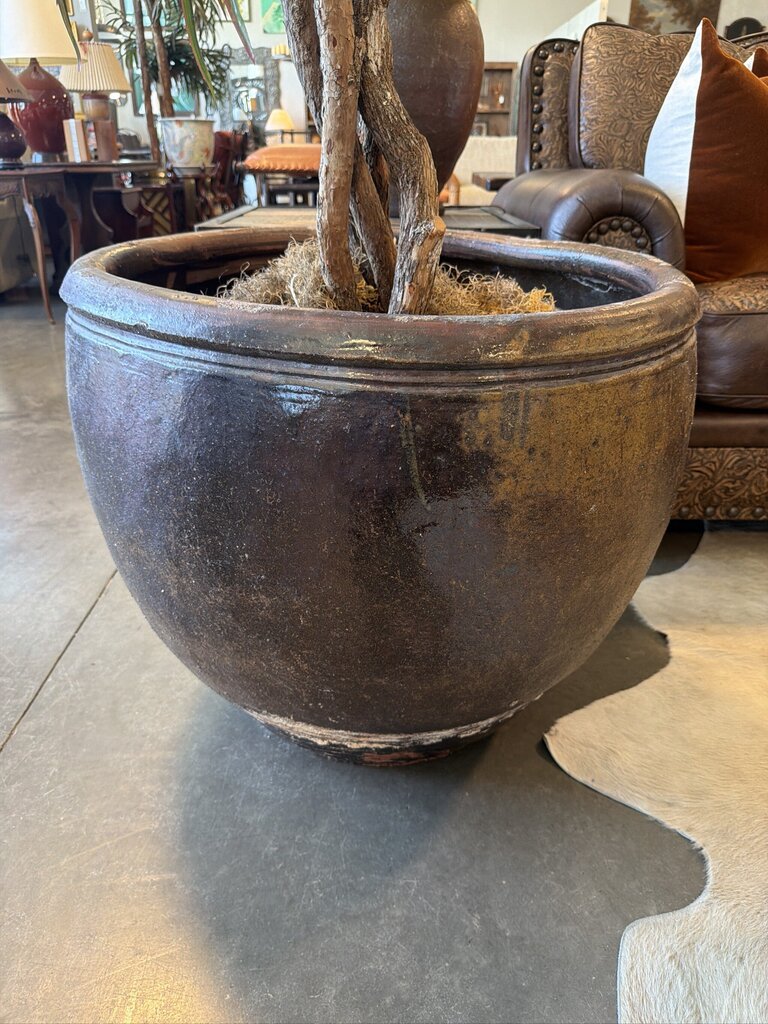 Artificial Dracaena Plant In Lg Brown Pot-26X26X90 - AS IS
