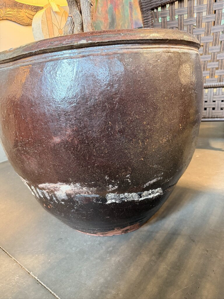 Artificial Dracaena Plant In Lg Brown Pot-26X26X90 - AS IS