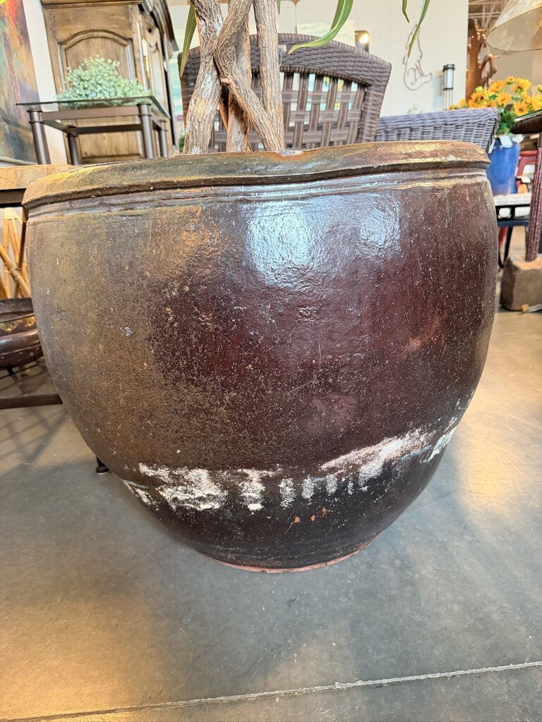 Artificial Dracaena Plant In Lg Brown Pot-26X26X90 - AS IS