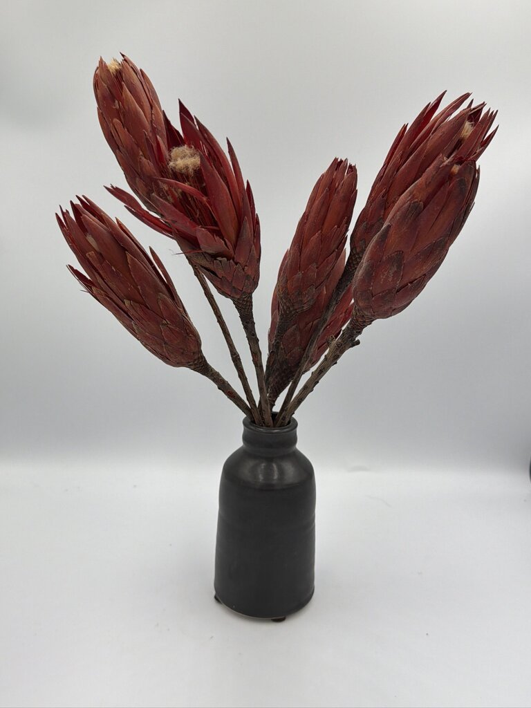 Pottery W/ Dried Flowers By Paddy McNeely- 11X10X16