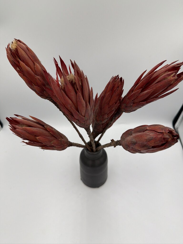 Pottery W/ Dried Flowers By Paddy McNeely- 11X10X16