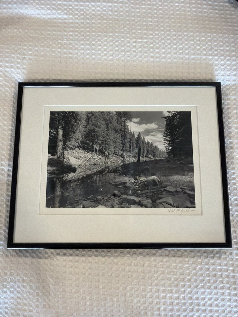 Arizona Landscapes By Bill McGrath Framed Signed PHoto- 14.5X11
