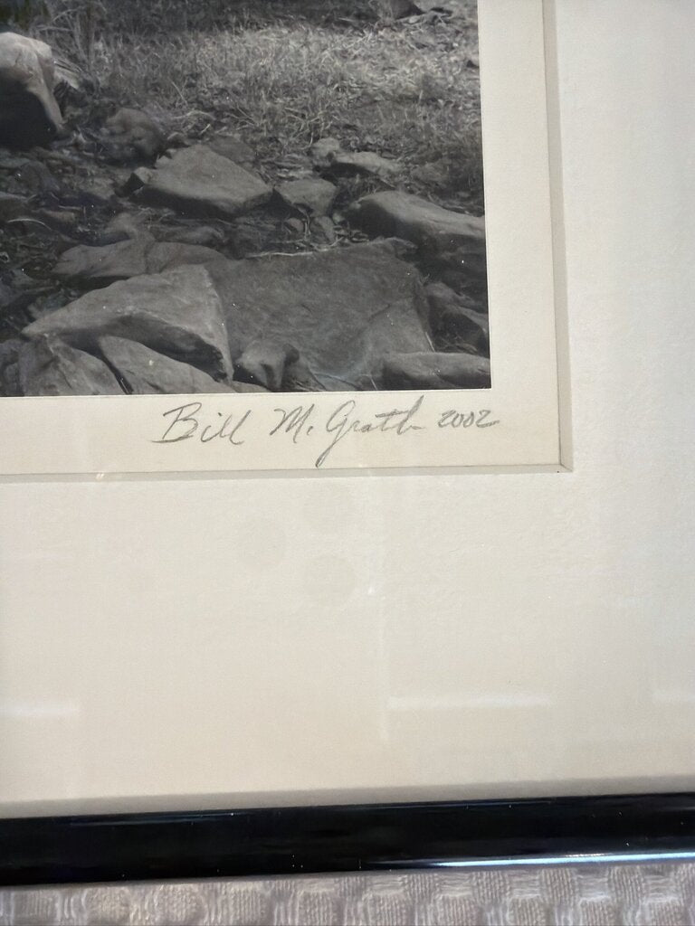 Arizona Landscapes By Bill McGrath Framed Signed PHoto- 14.5X11