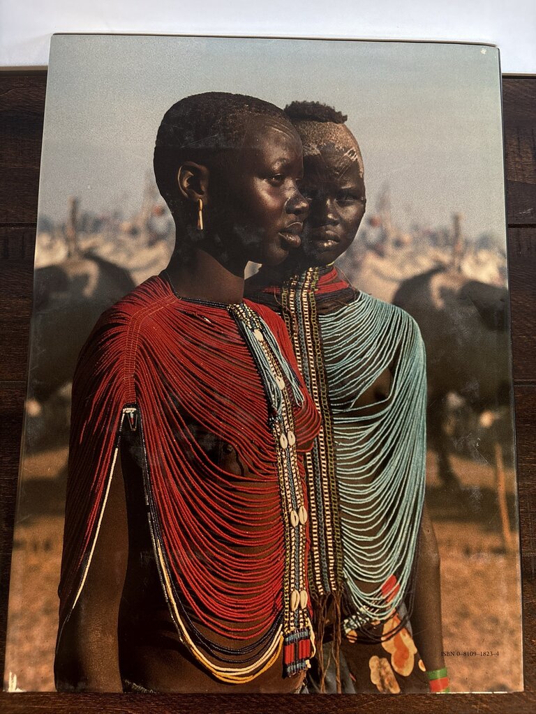 Africa Adorned by Angela Fisher