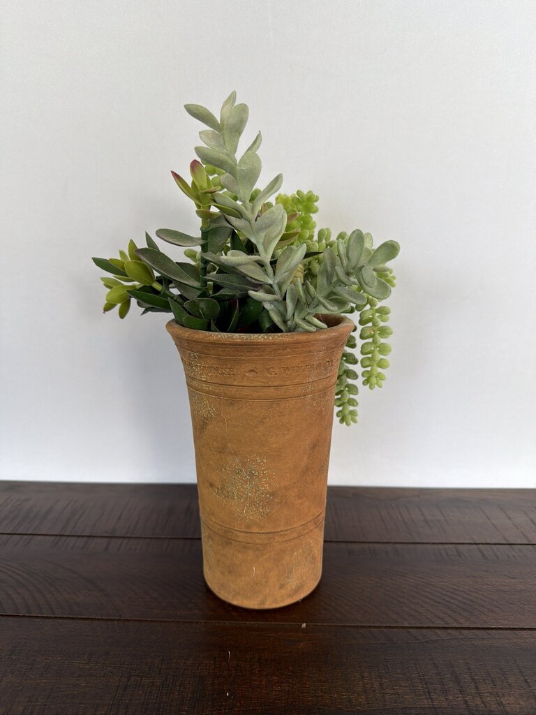 G. Wolff & Co Terra Cotta Pot W/ Succulents- 5X5X11