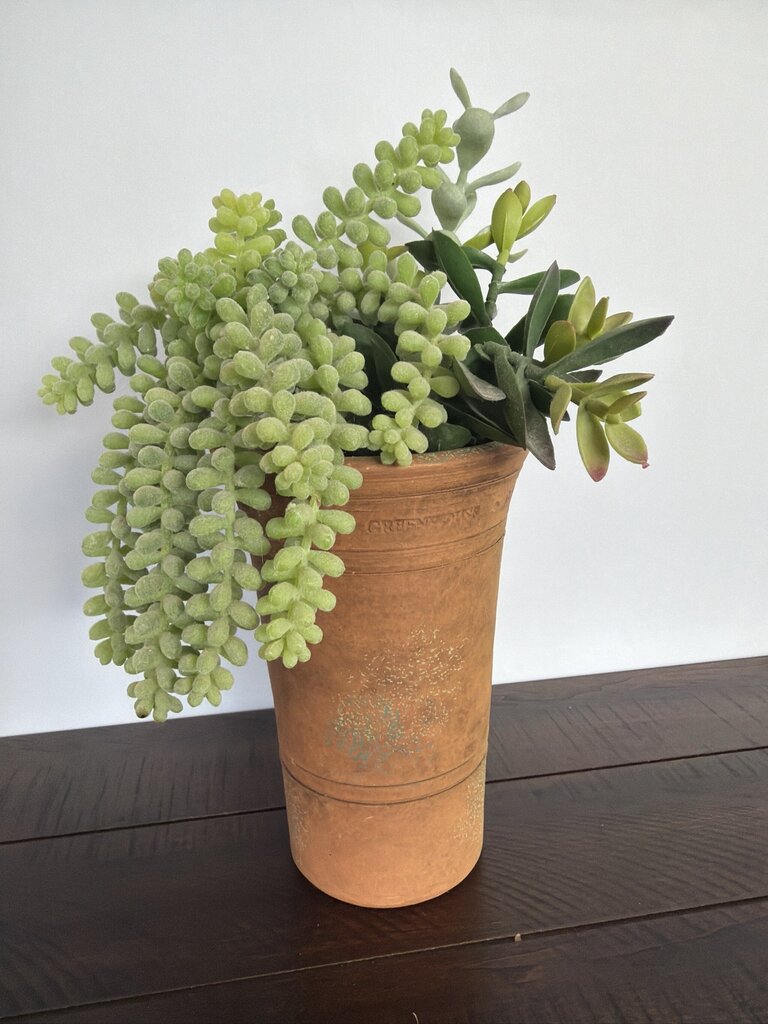 G. Wolff & Co Terra Cotta Pot W/ Succulents- 5X5X11
