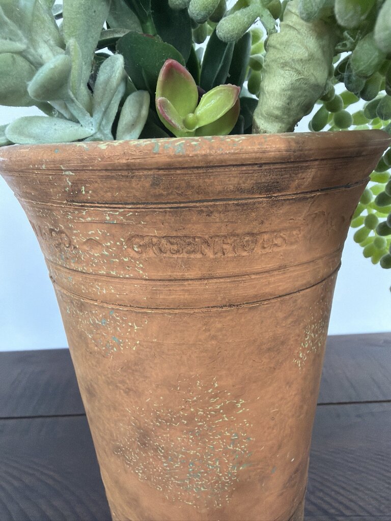 G. Wolff & Co Terra Cotta Pot W/ Succulents- 5X5X11