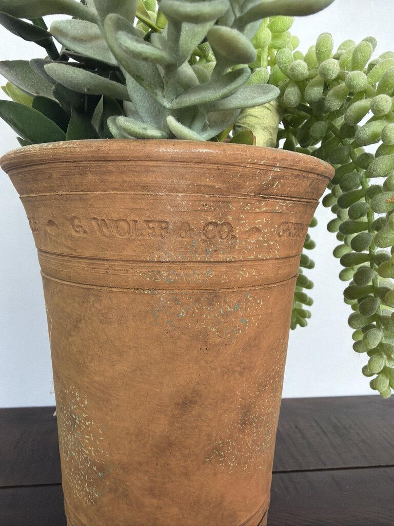 G. Wolff & Co Terra Cotta Pot W/ Succulents- 5X5X11