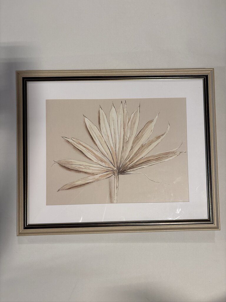 Botanical Print Of Palm Leaf - 21.5X17.5H
