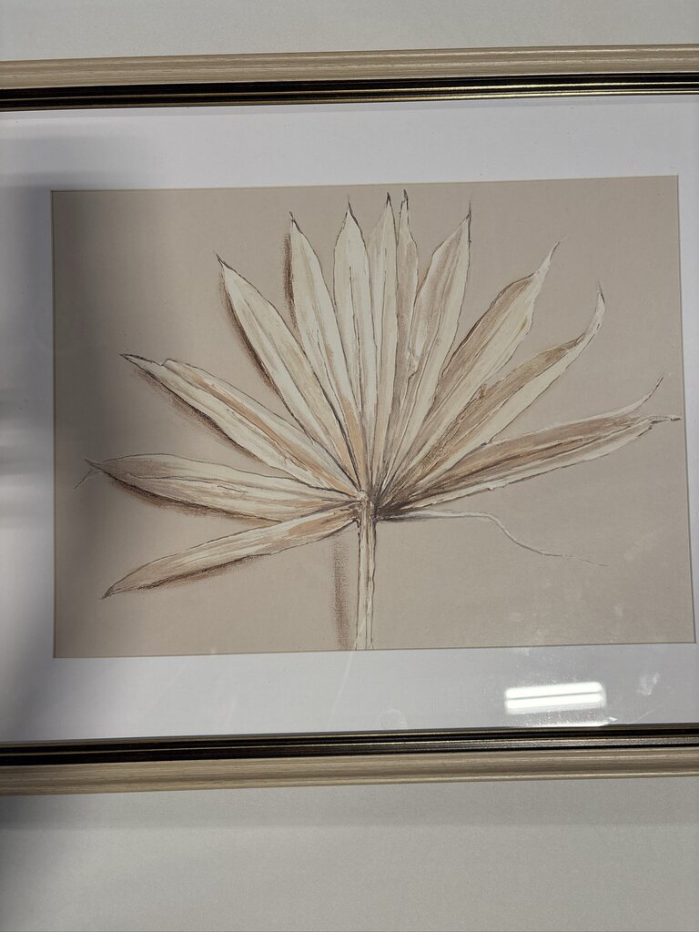 Botanical Print Of Palm Leaf - 21.5X17.5H
