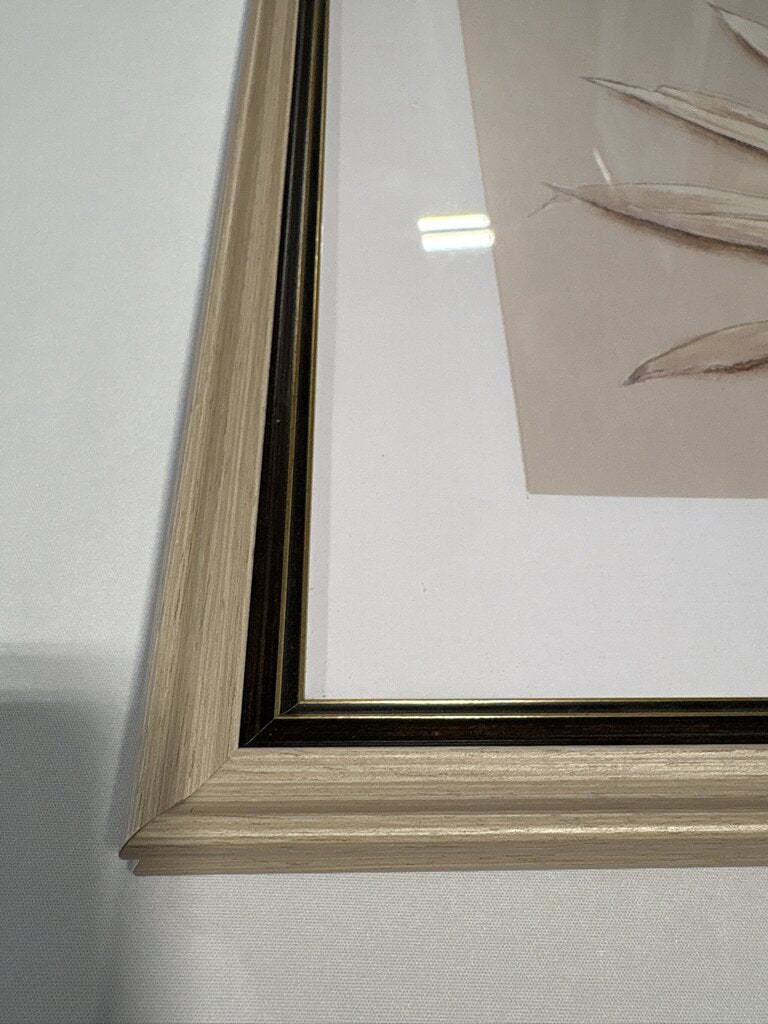 Botanical Print Of Palm Leaf - 21.5X17.5H
