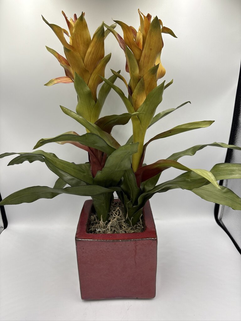 NDI Faux Bromeliad In Square Planter- 6X6X20