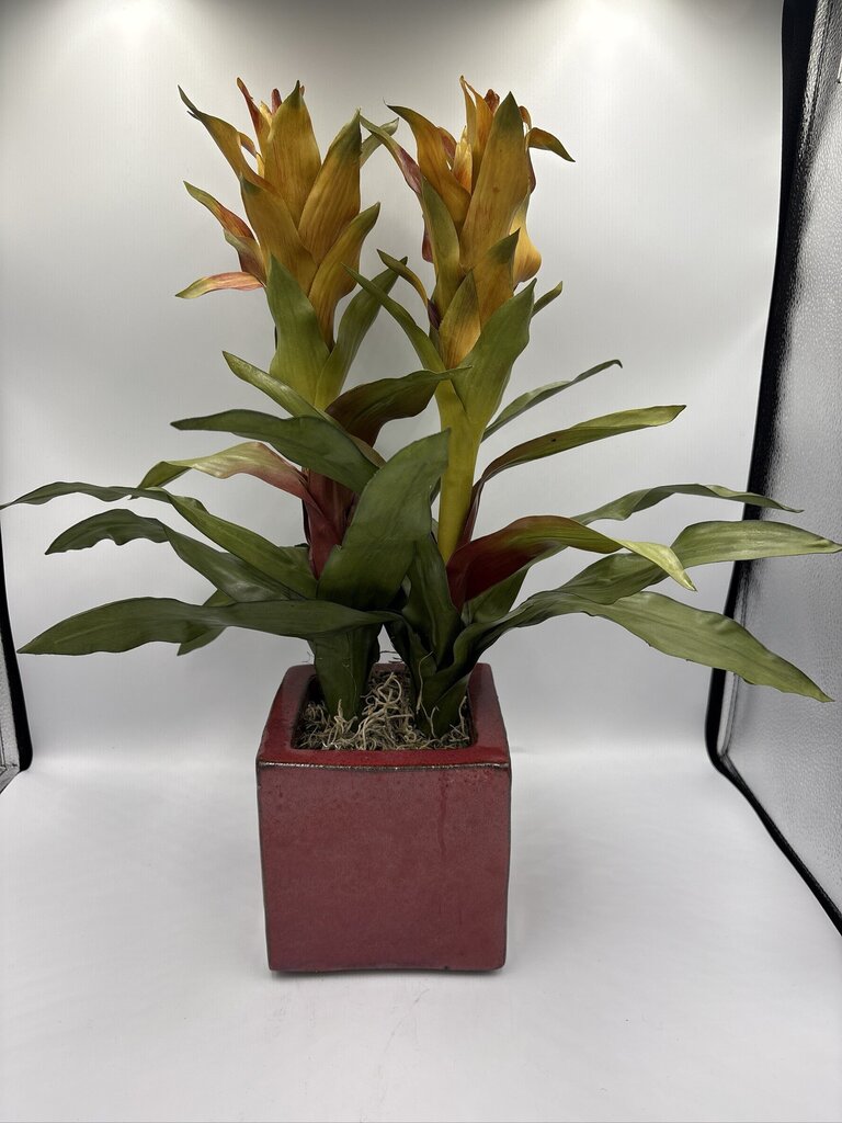 NDI Faux Bromeliad In Square Planter- 6X6X20