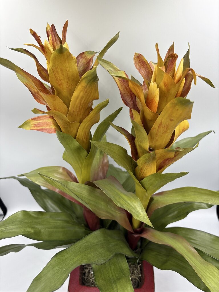 NDI Faux Bromeliad In Square Planter- 6X6X20