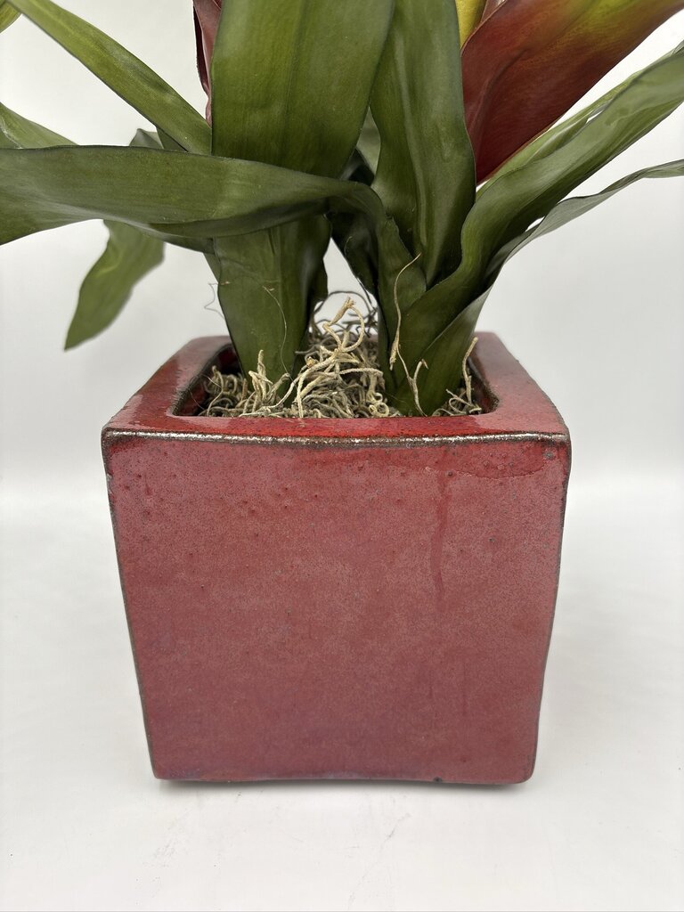 NDI Faux Bromeliad In Square Planter- 6X6X20