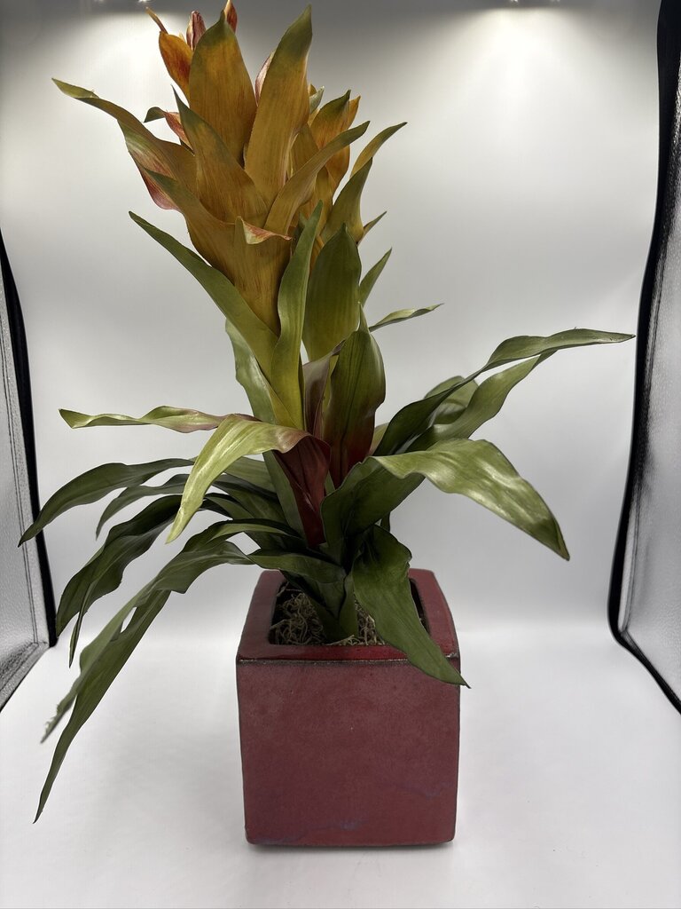 NDI Faux Bromeliad In Square Planter- 6X6X20