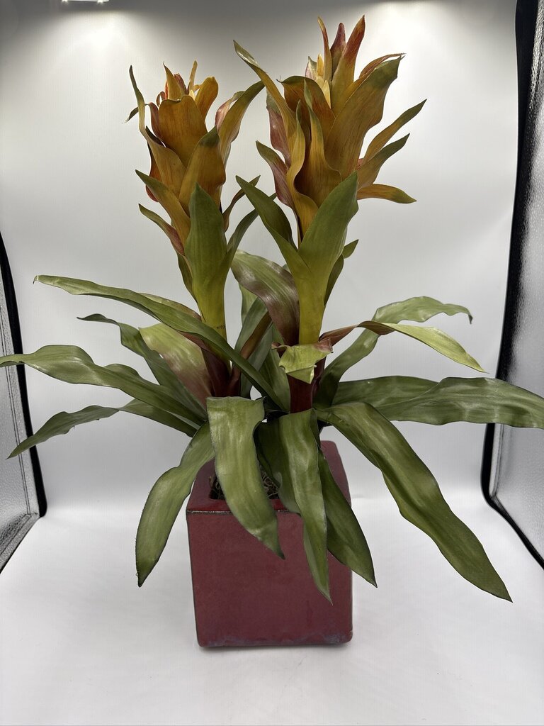 NDI Faux Bromeliad In Square Planter- 6X6X20
