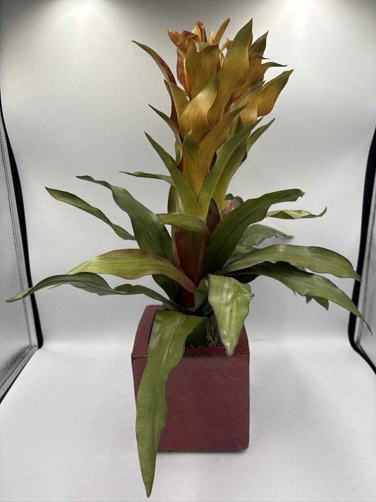 NDI Faux Bromeliad In Square Planter- 6X6X20