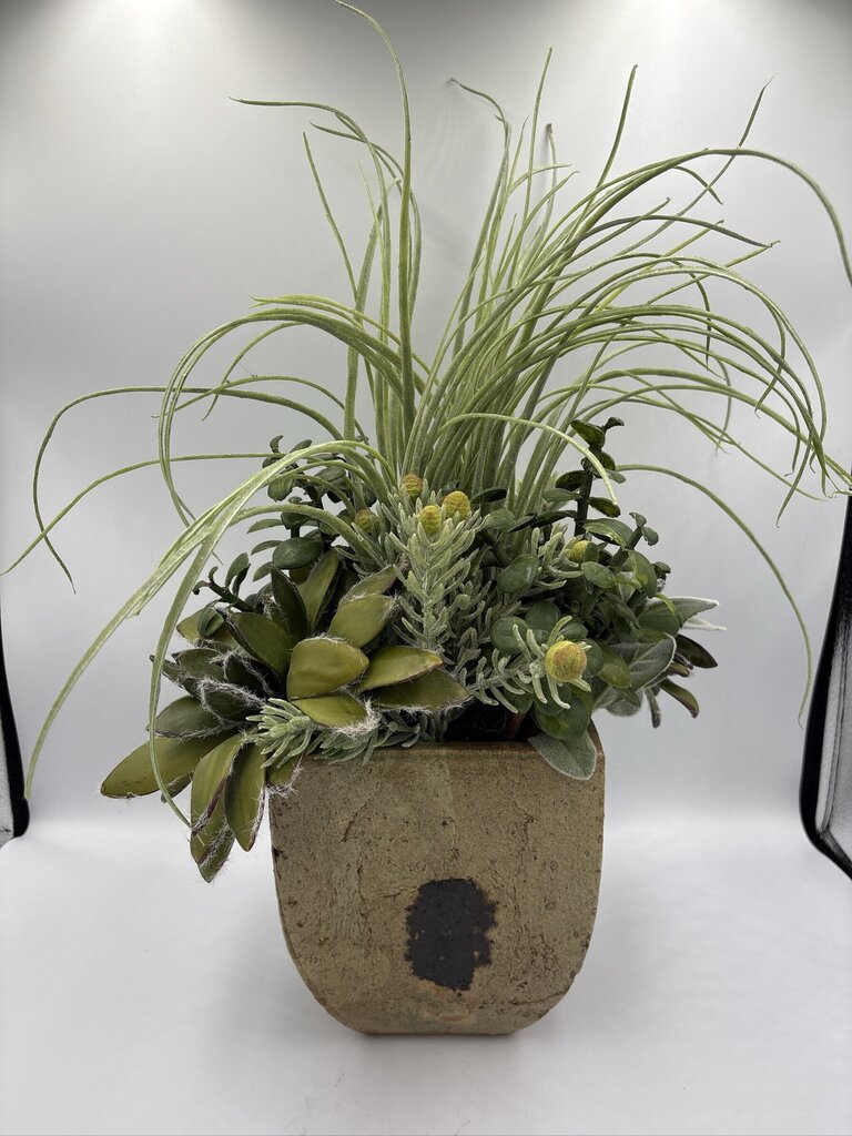 NDI Succulent In Glazed Pot- 10X8X19H