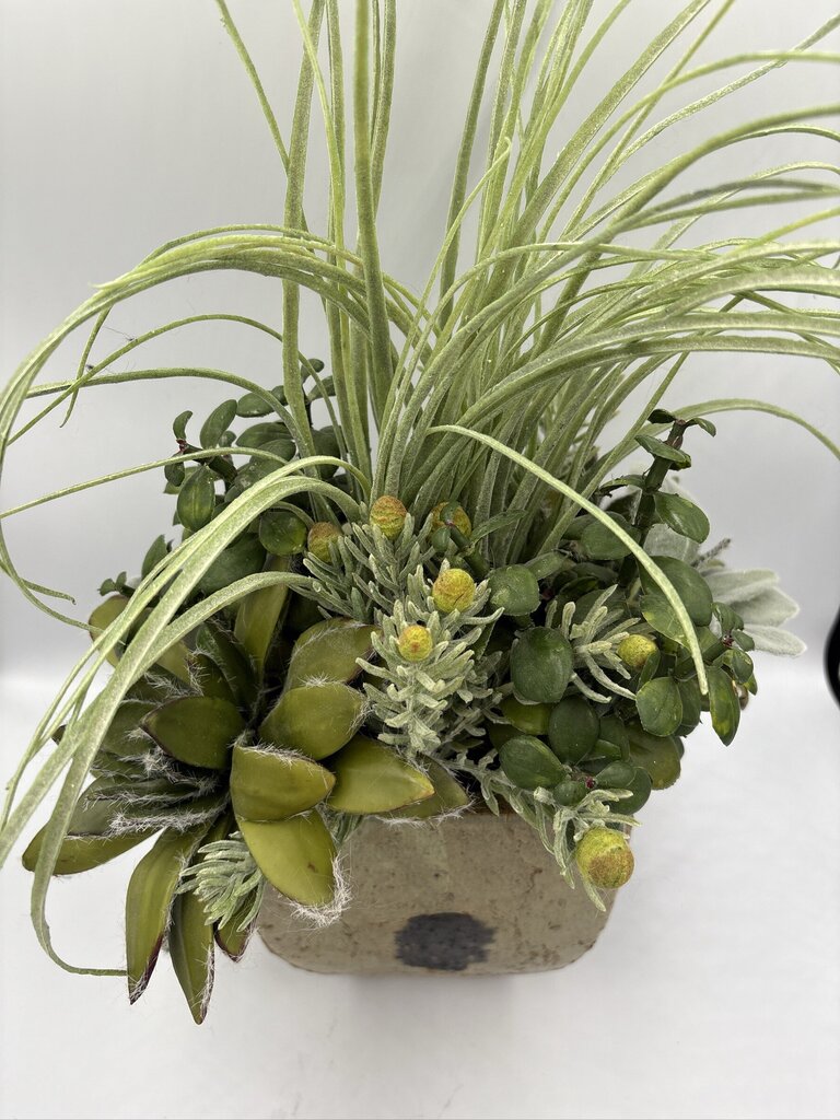 NDI Succulent In Glazed Pot- 10X8X19H