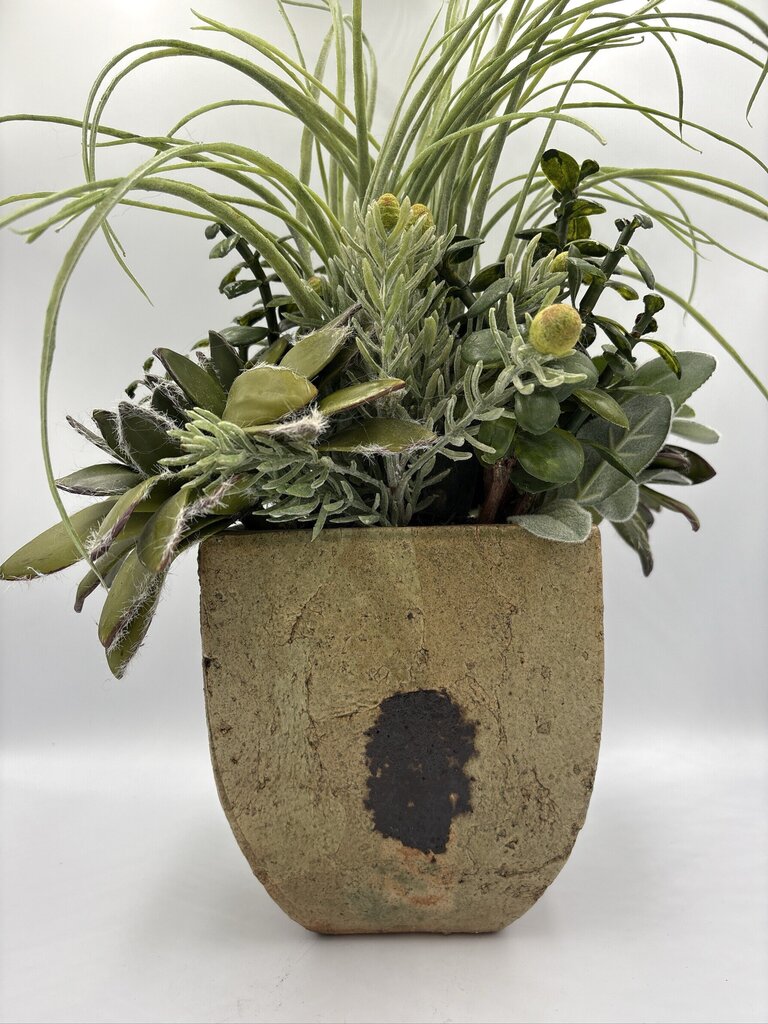 NDI Succulent In Glazed Pot- 10X8X19H