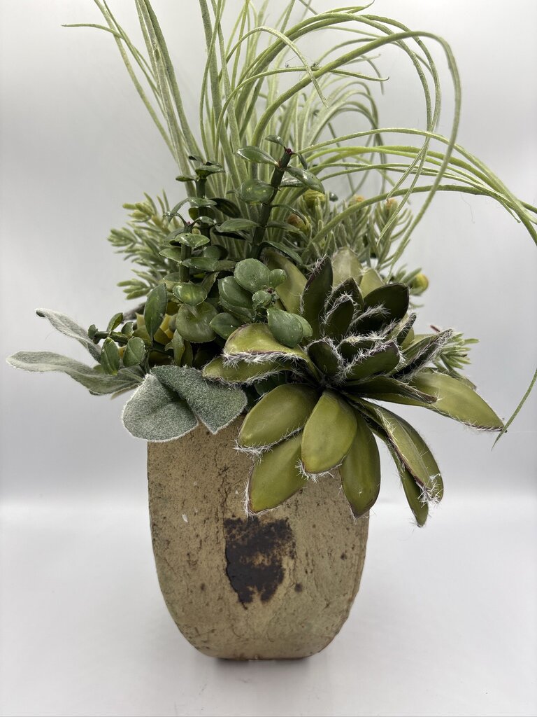 NDI Succulent In Glazed Pot- 10X8X19H